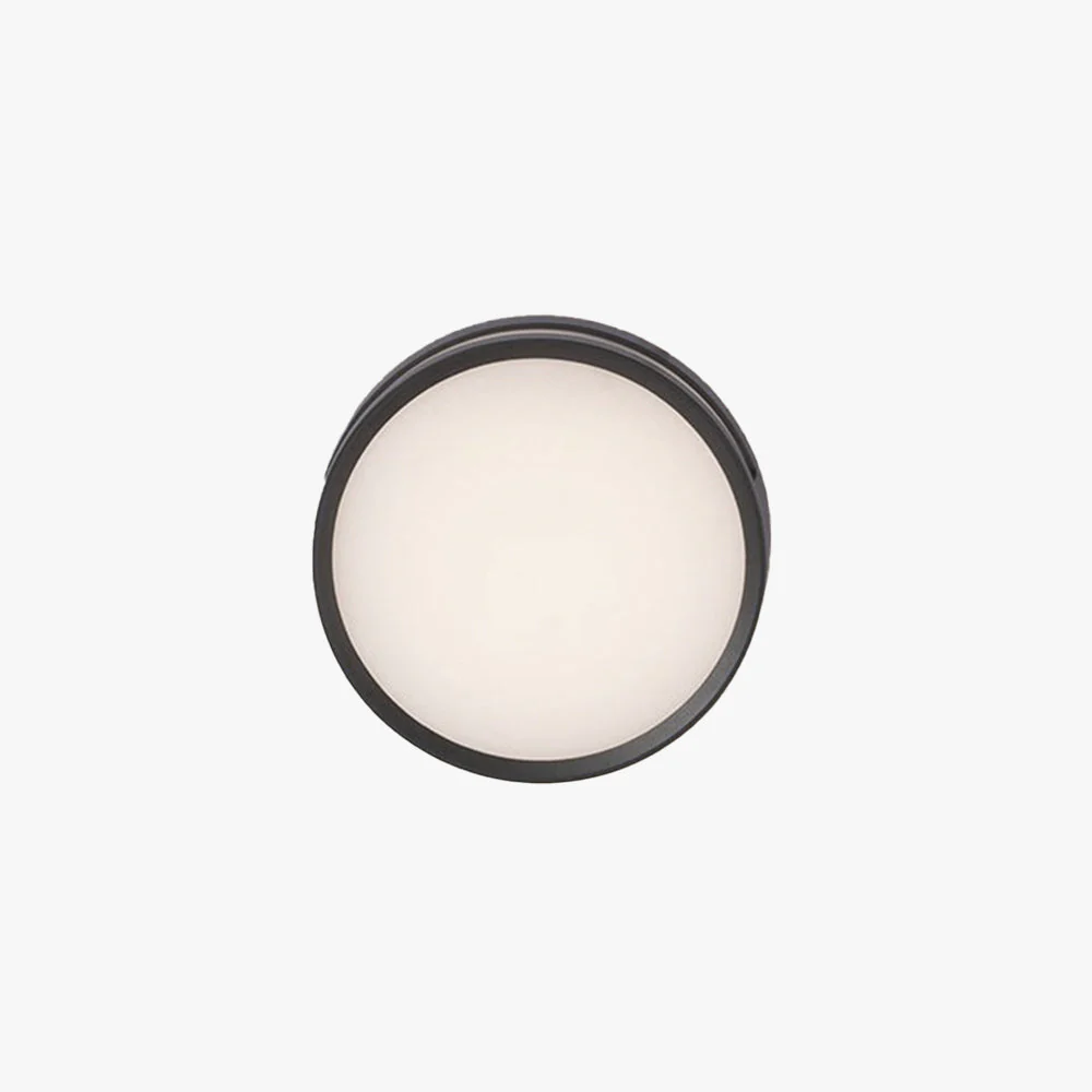 Ray Modern Outdoor Wall Lamp