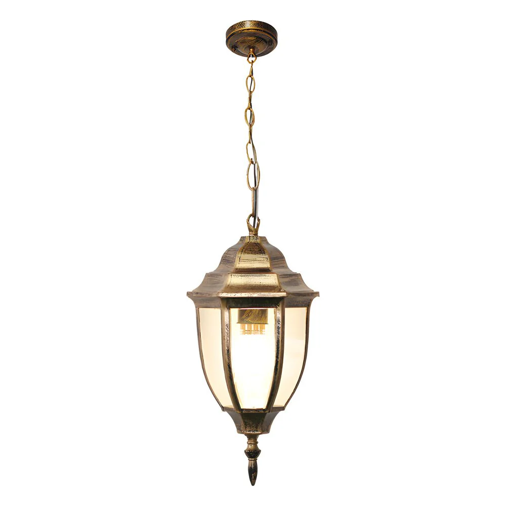 Saantha Antique European Outdoor Chandeliers - Image 6