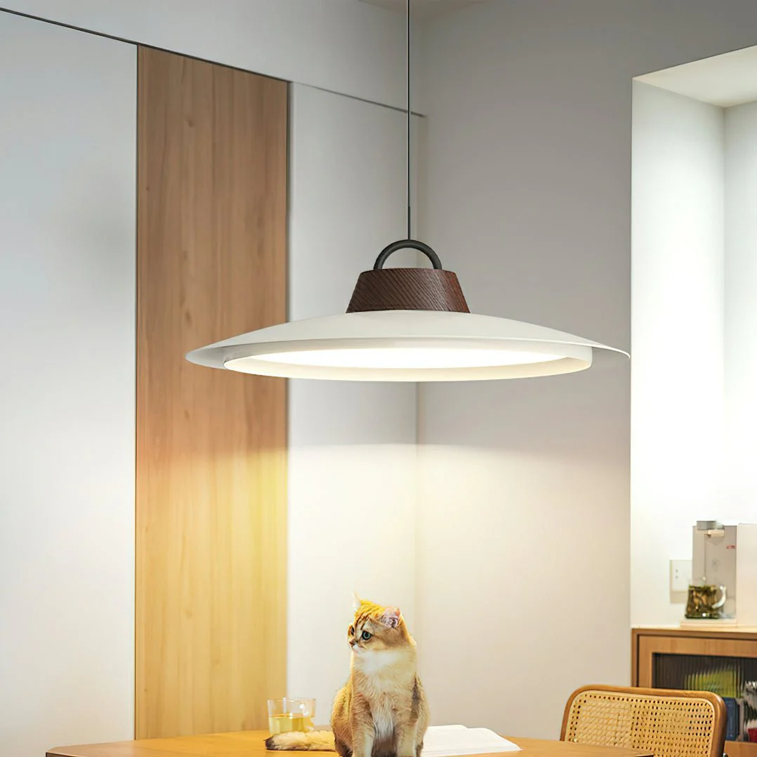 Sloane Modern Pendant Light - Image 28