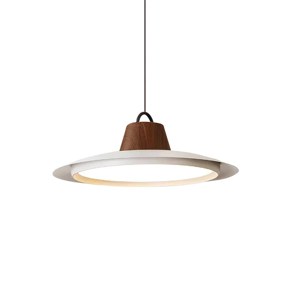 Sloane Modern Pendant Light - Image 30