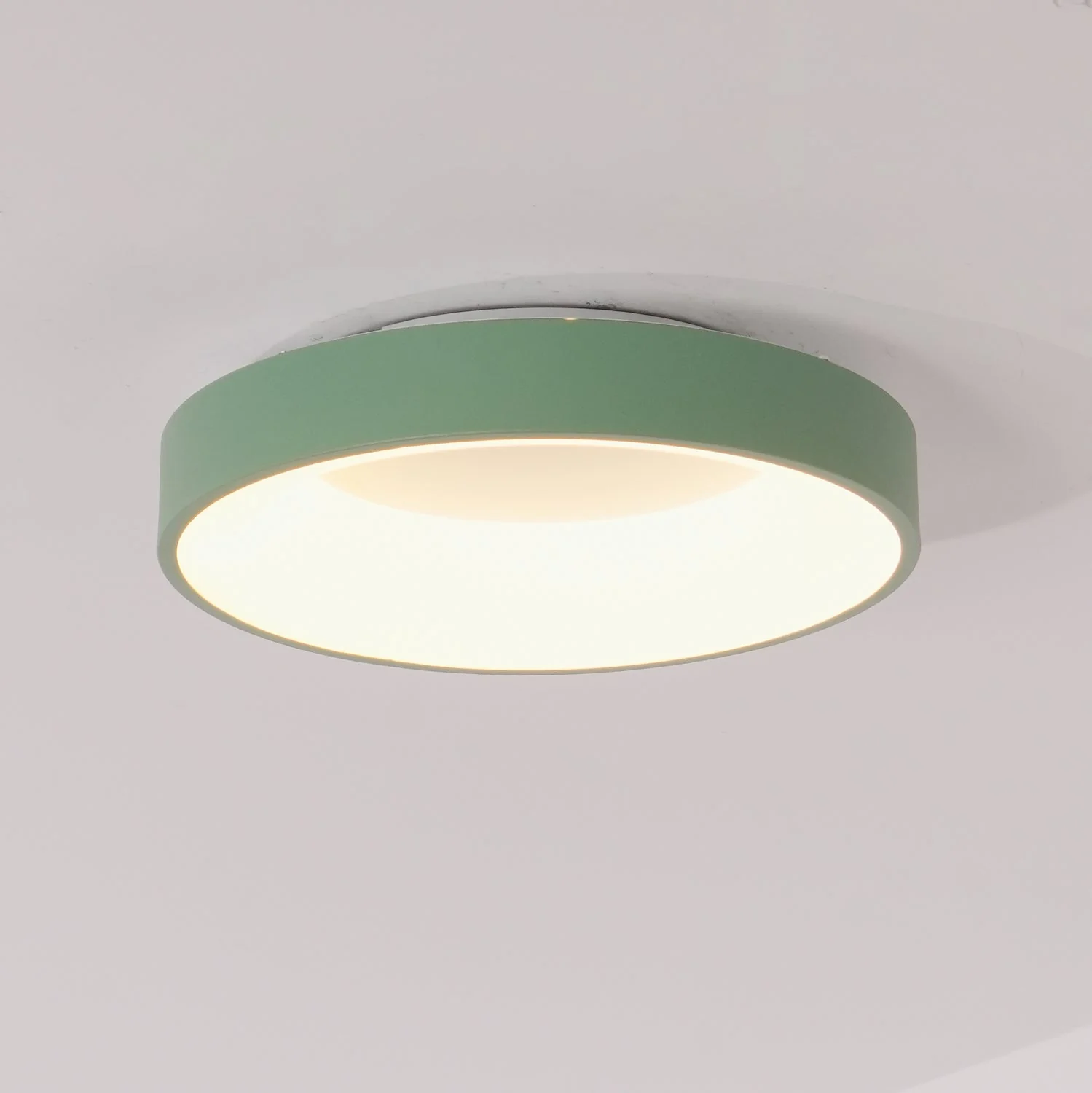 Solara Ceiling Light Iron Contemporary Green Shade - Image 19