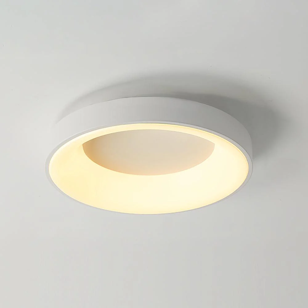 Solara Ceiling Light Iron Contemporary Green Shade - Image 20