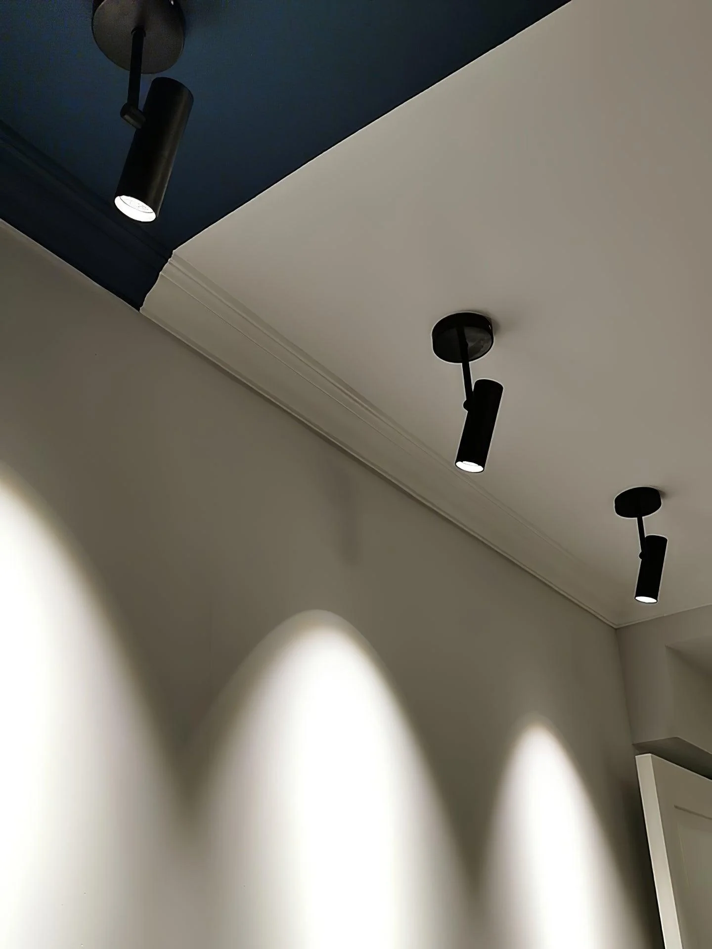Solara Ceiling Light Cylinder Spotlight Industrial for Loft Study - Image 14