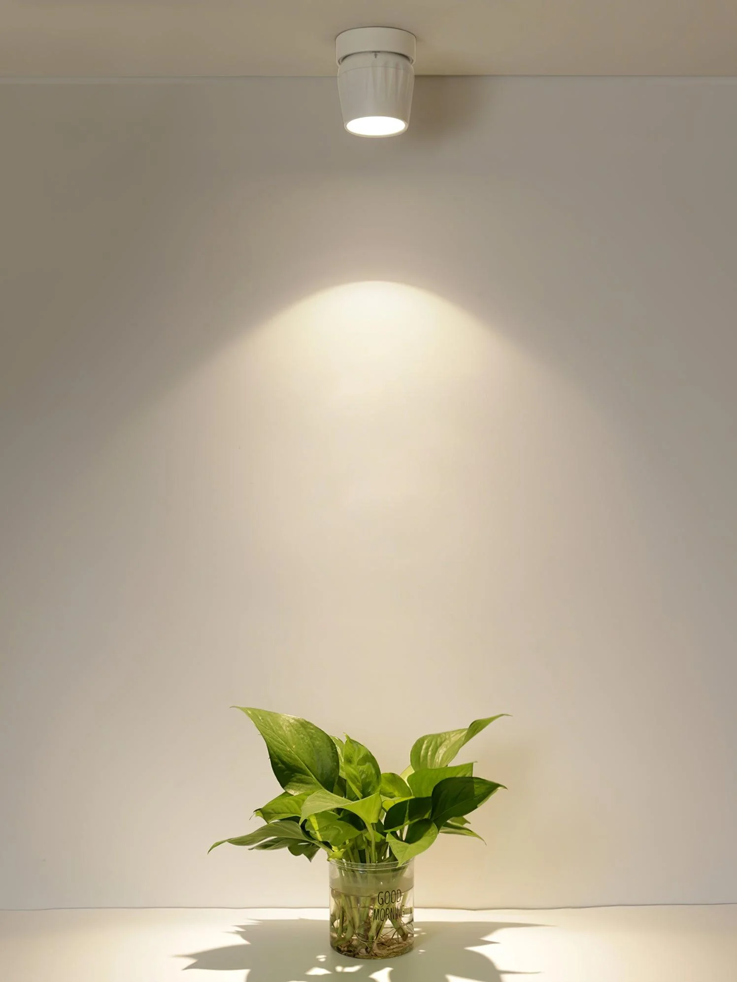 Solara Spotlight Aluminum Ribbed Rotatable Minimalist - Image 10