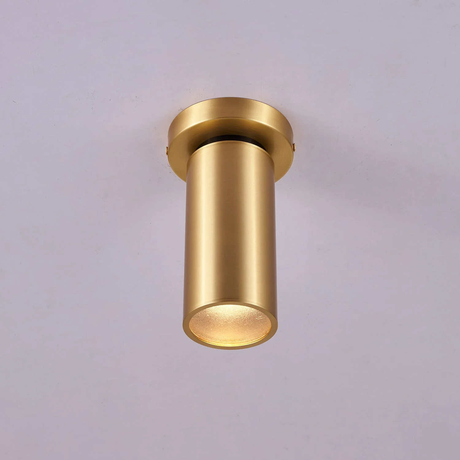Syloran Modern Minimalist Brass Spot Light Ceiling lamp - Image 4