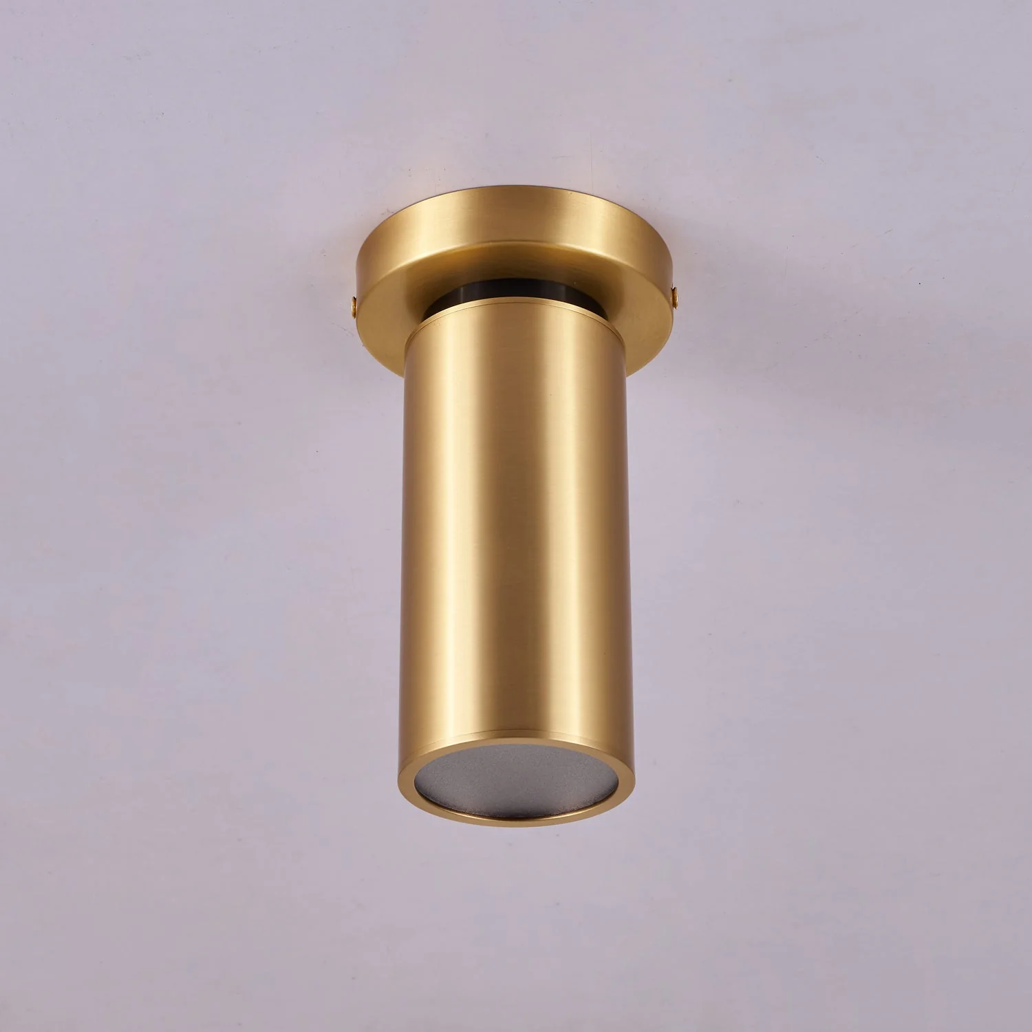Syloran Modern Minimalist Brass Spot Light Ceiling lamp - Image 7