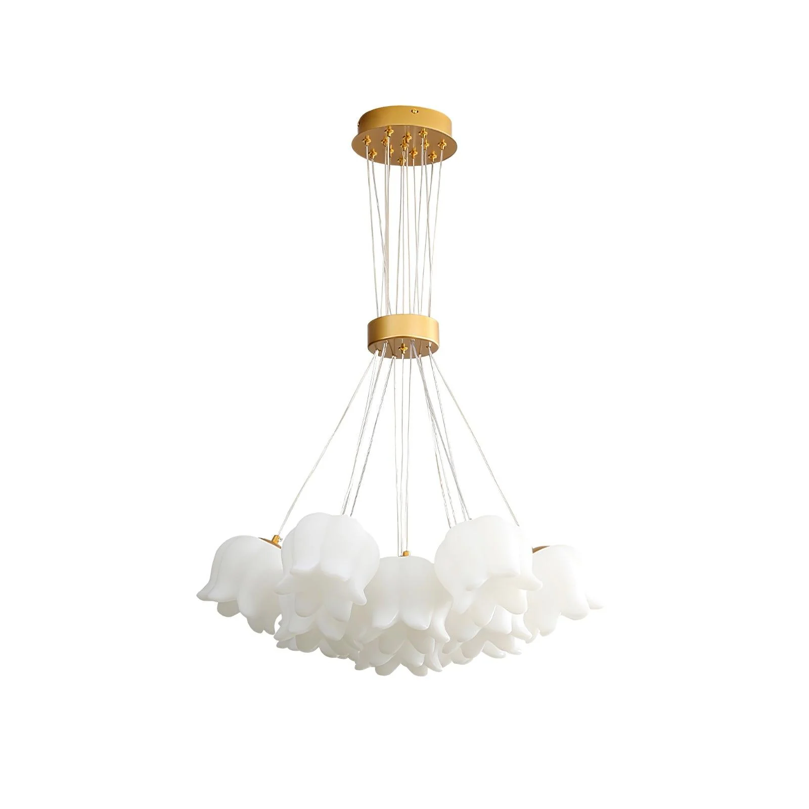 Tucker  Lily Modern Pendant Light - Image 8
