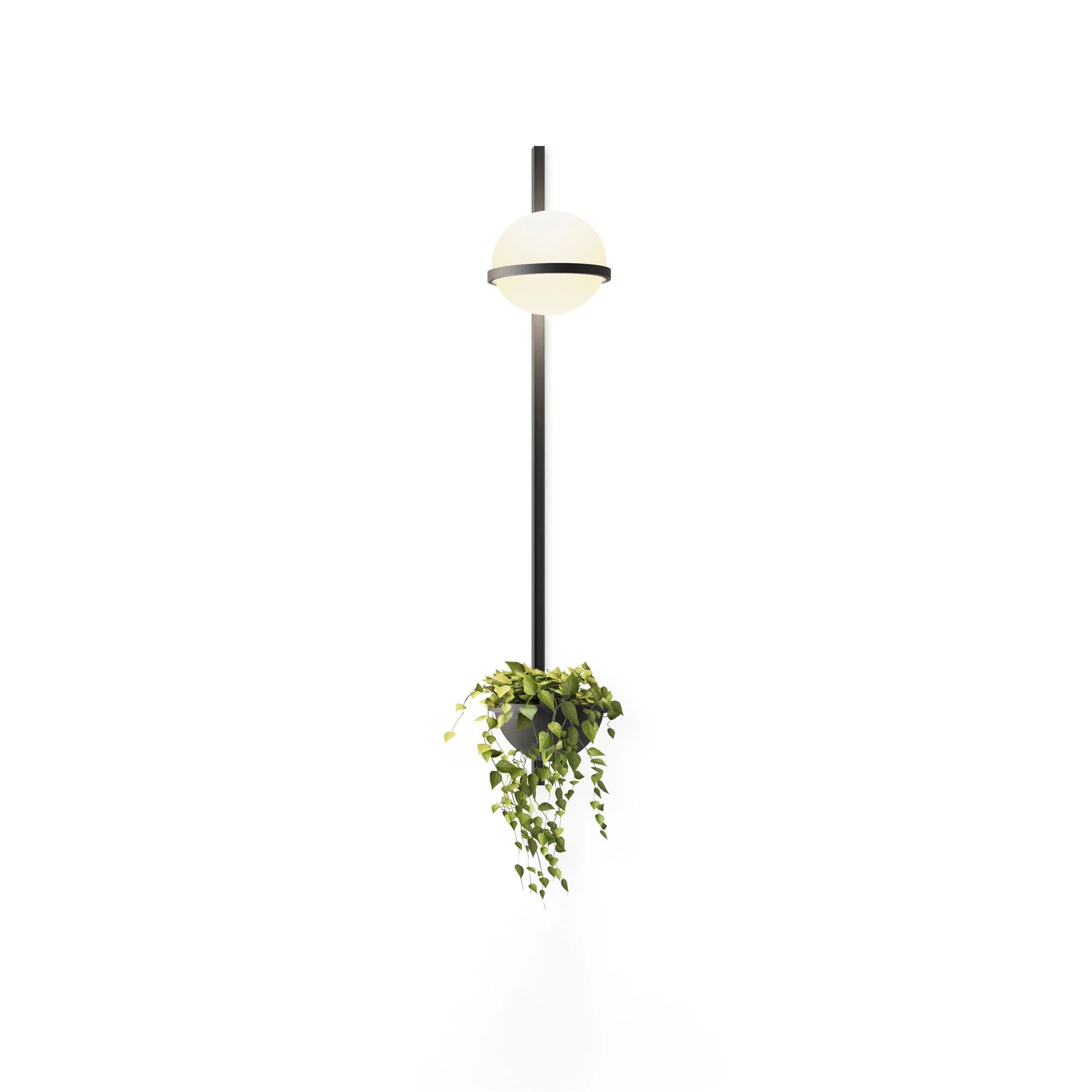 Vasila Modern Minimalist Indoor Outdoor Wall Light - Image 30