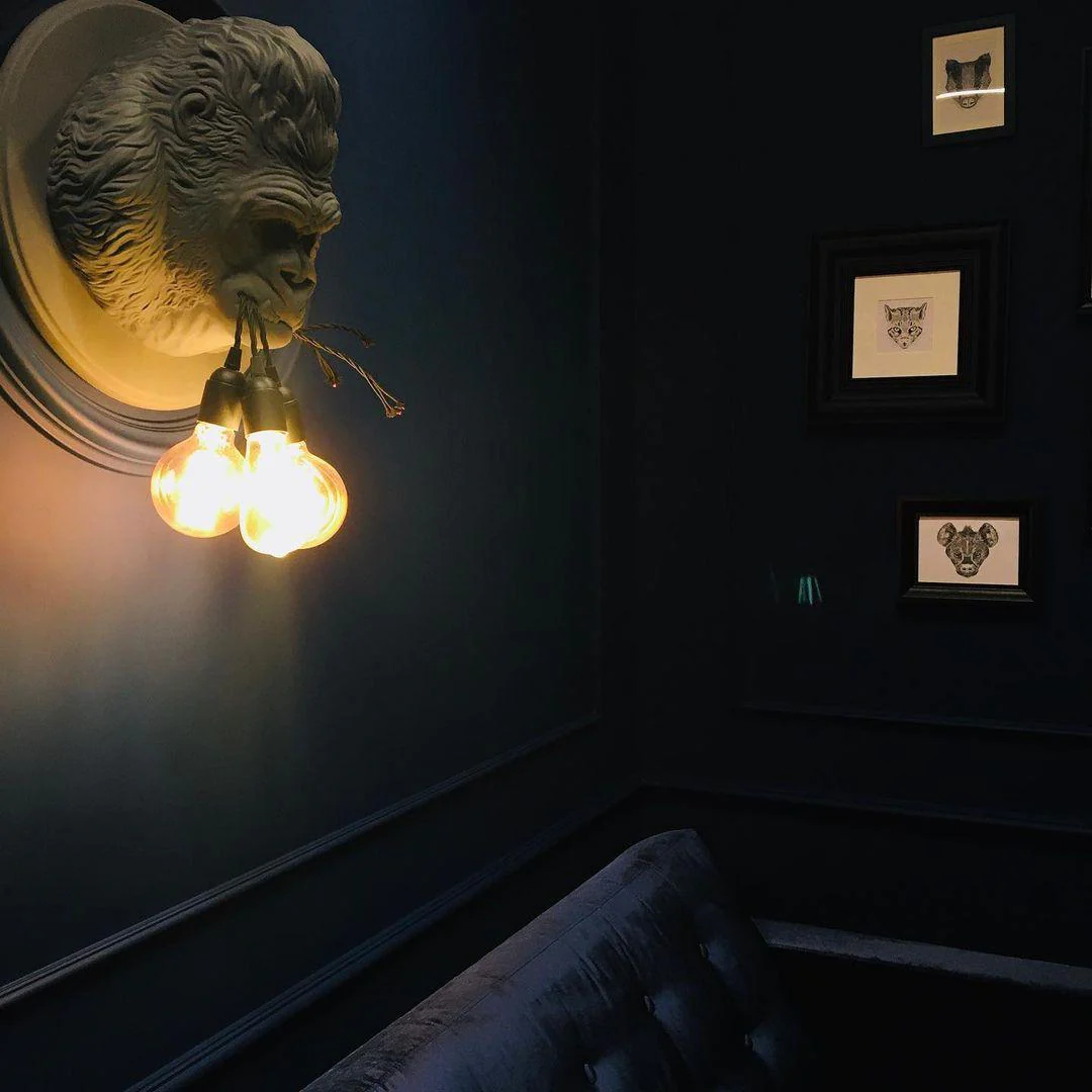 Veleda Premium Elegance Resin Sconce Wall Lamp - Image 14