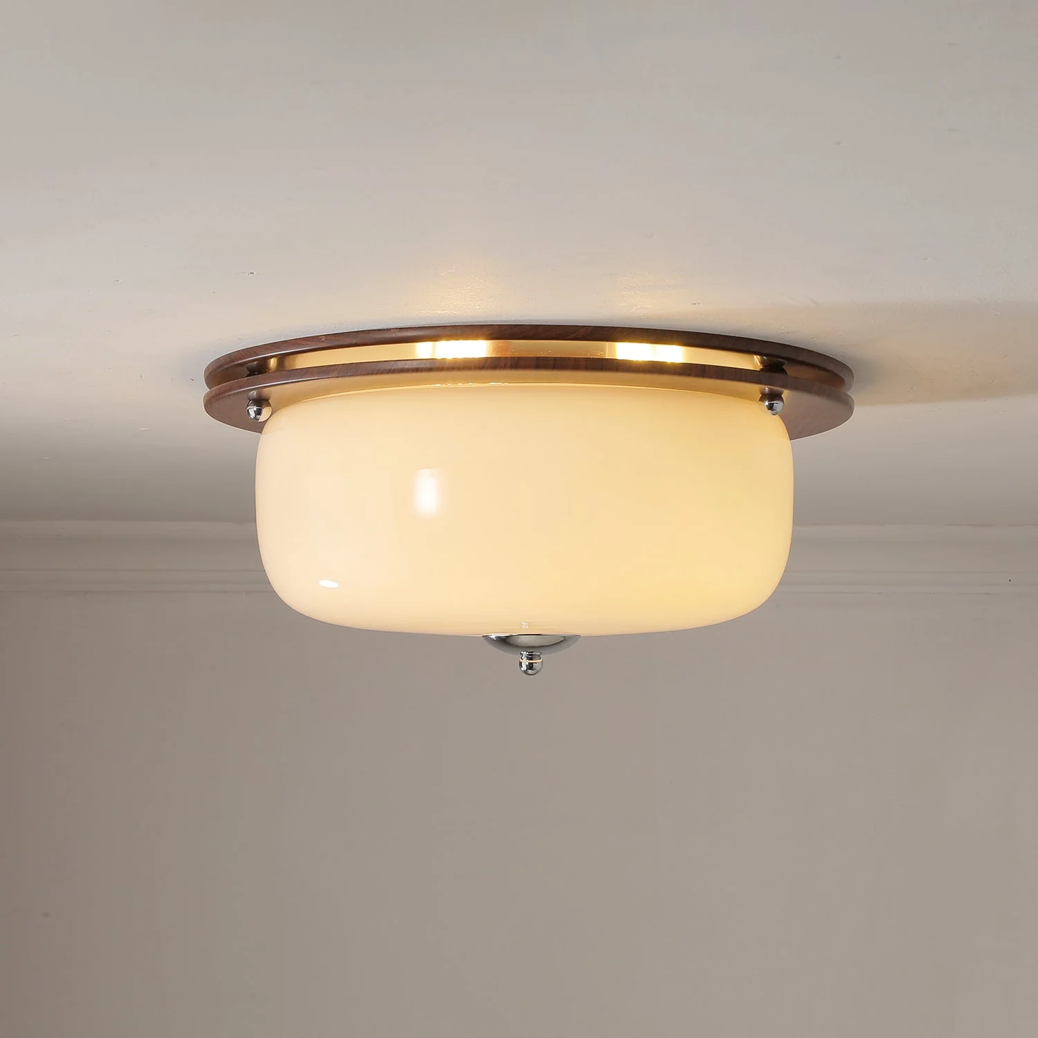 Vetheel Premium Nordic Art Dome Glass Ceiling Light - Image 5