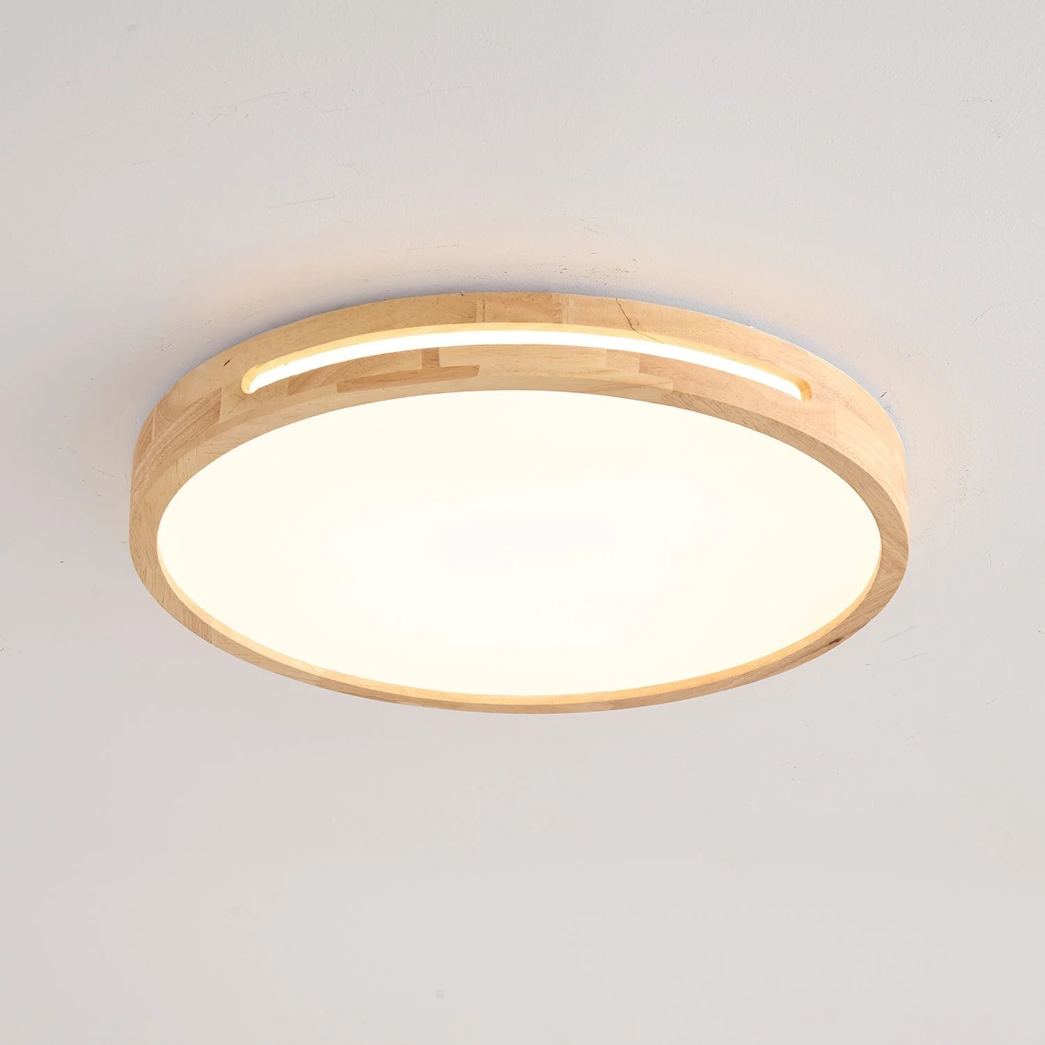Vizoros Modern Minimalist Ceiling Light - Image 18