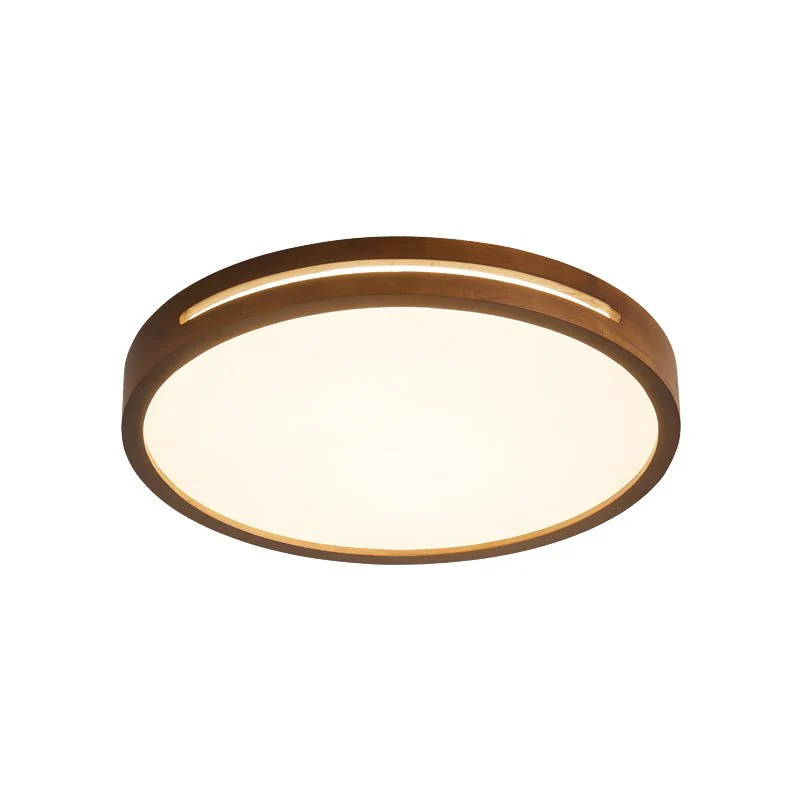 Vizoros Modern Minimalist Ceiling Light - Image 22