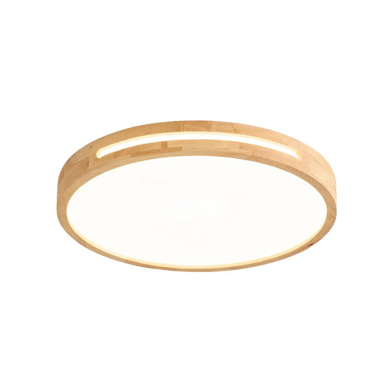 Vizoros Modern Minimalist Ceiling Light - Image 24