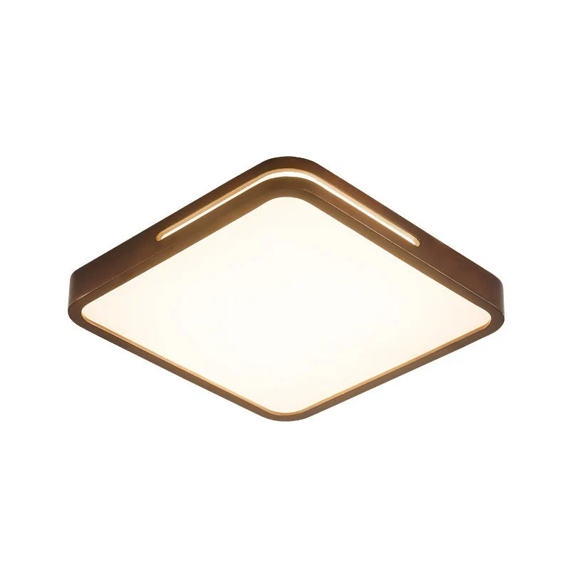 Vizoros Modern Minimalist Ceiling Light - Image 25