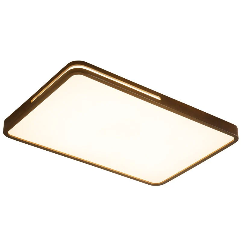Vizoros Modern Minimalist Ceiling Light - Image 27