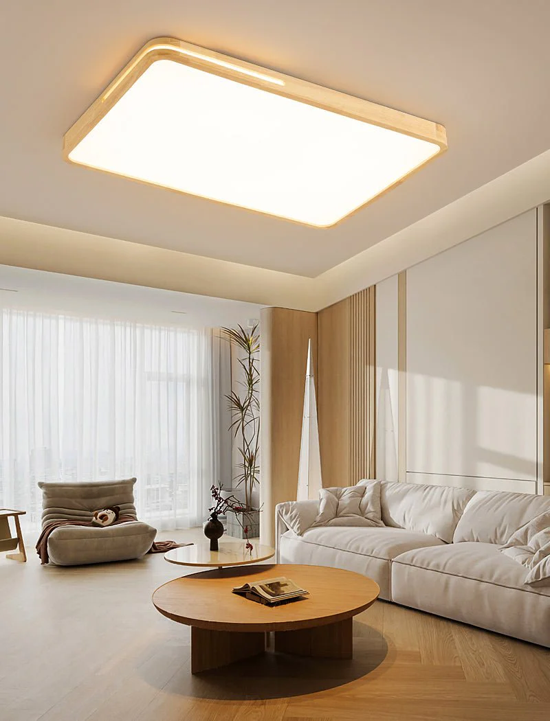 Vizoros Modern Minimalist Ceiling Light - Image 28