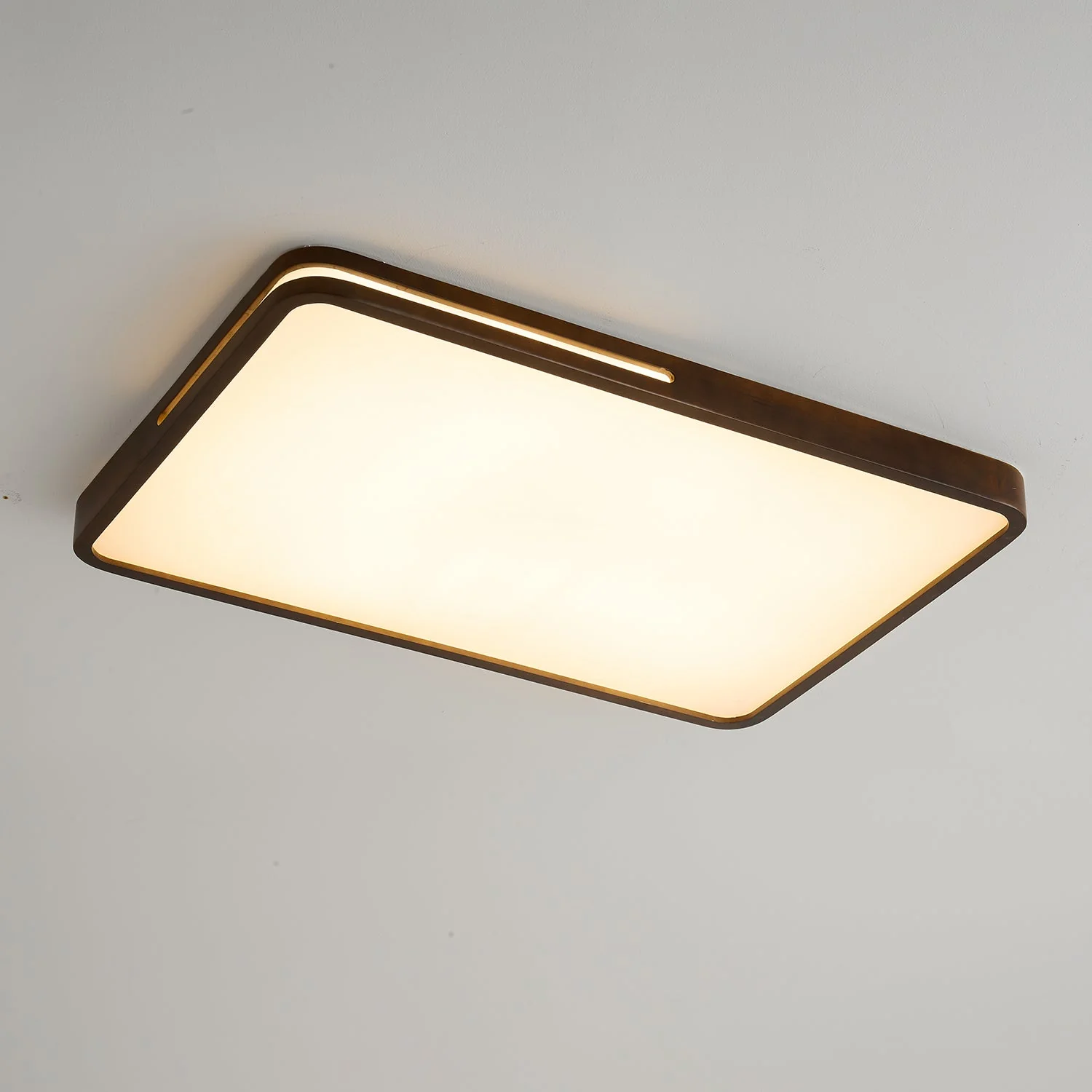 Vizoros Modern Minimalist Ceiling Light - Image 40