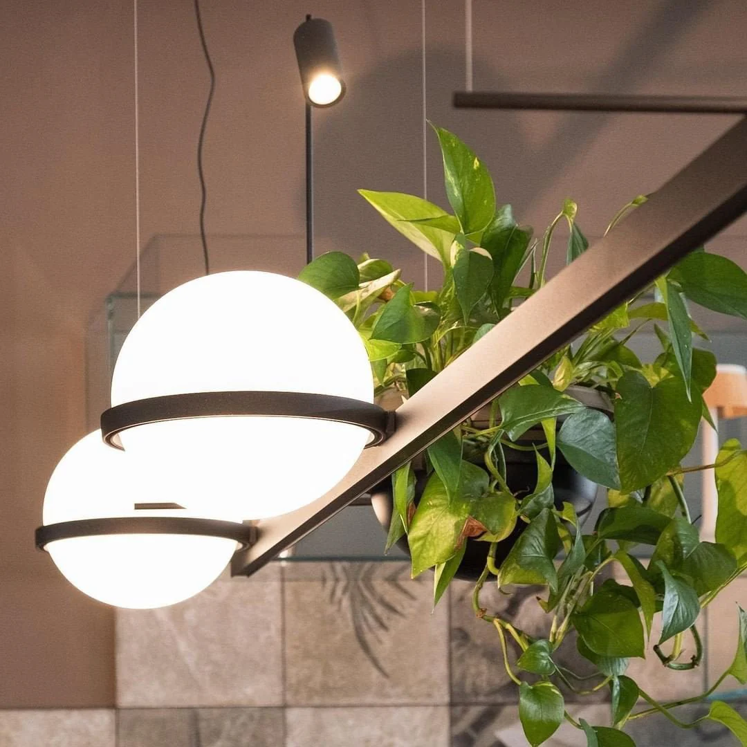 Xenith Contemporary Pendant Lamp - Image 14
