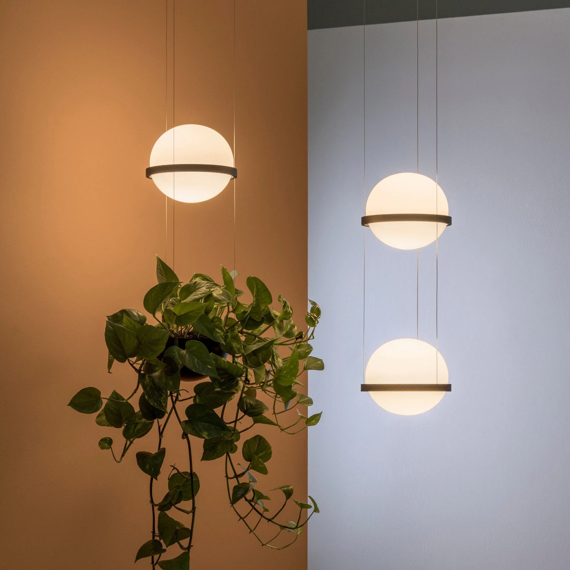 Xenith Contemporary Pendant Lamp - Image 4