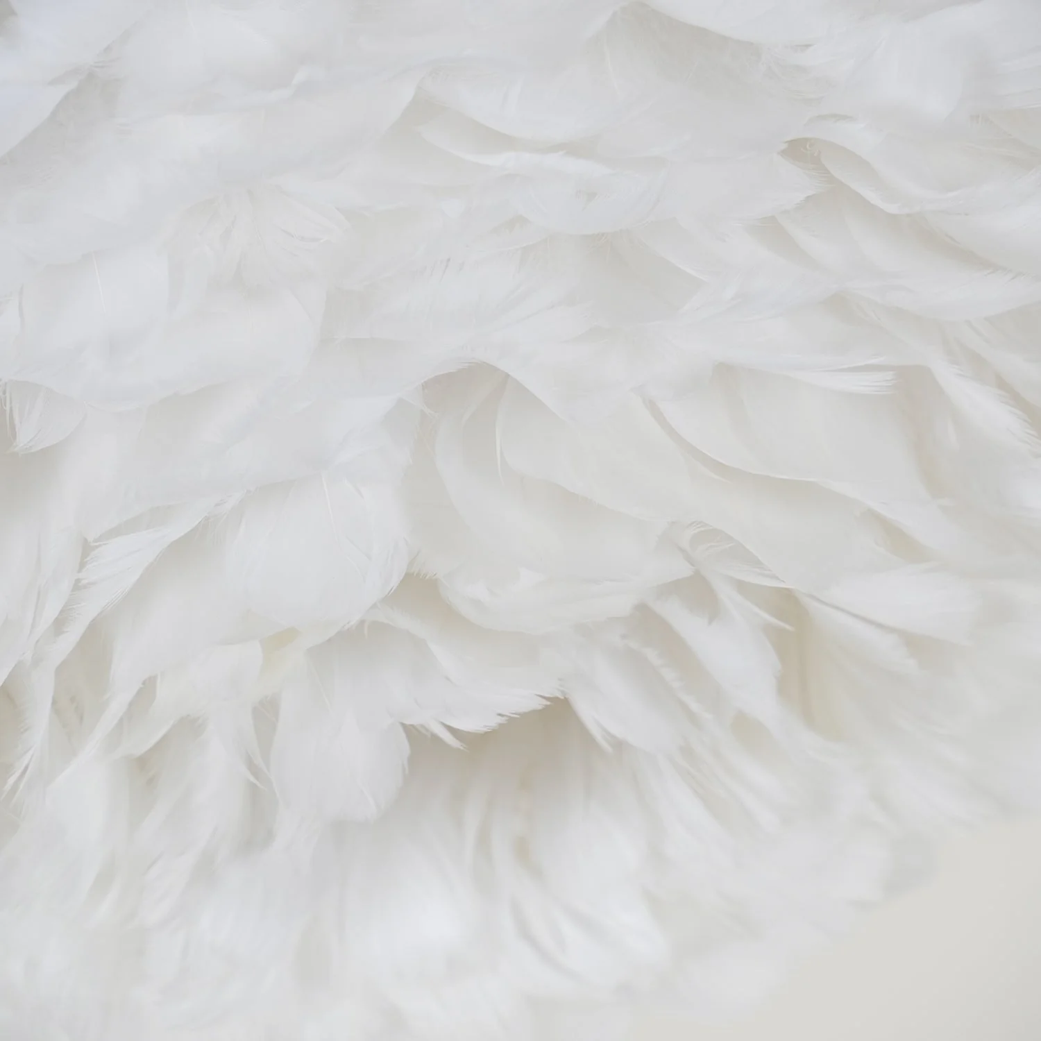 Zalore Premium Nordic Art Feathered Ceiling Lamp - Image 11