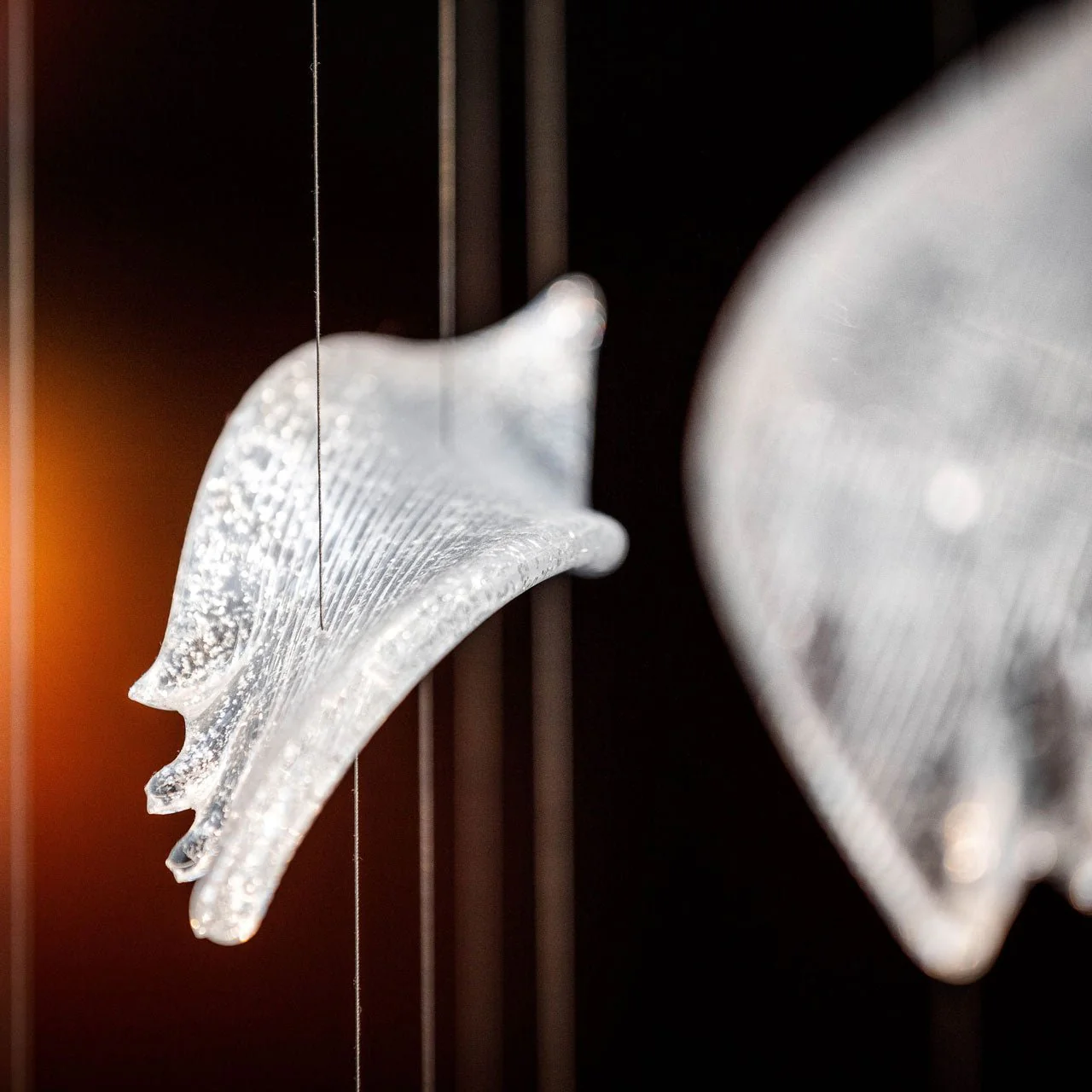 Zathaara Glass Feather Shape  Chandelier - Image 18