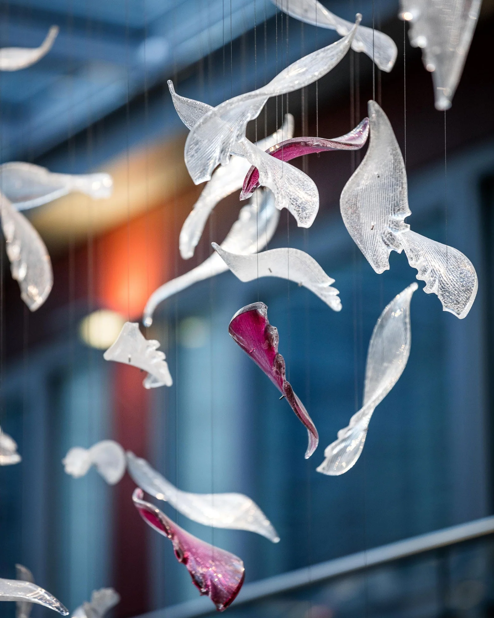 Zathaara Glass Feather Shape  Chandelier - Image 9