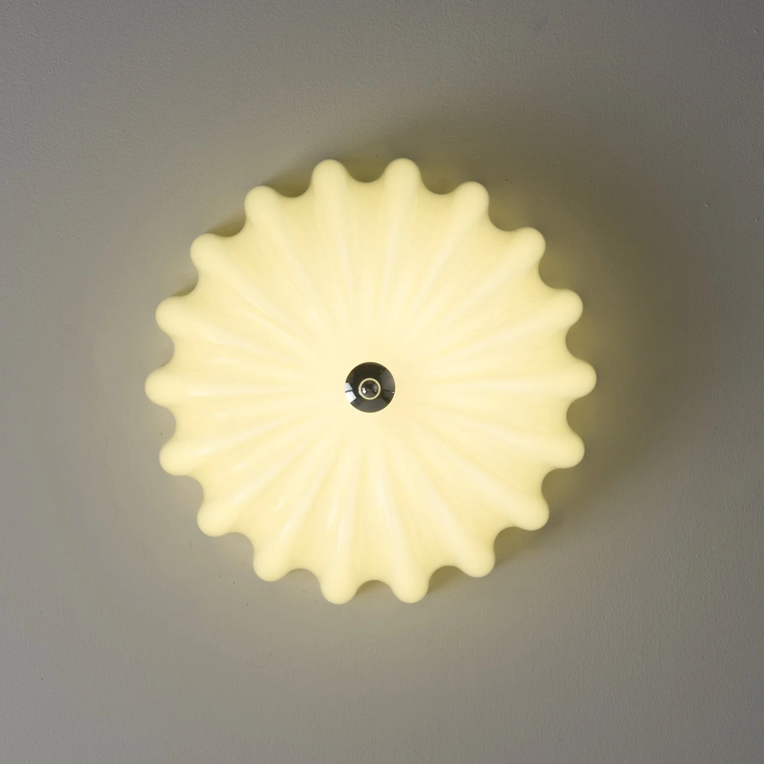 Zerinos Premium Nordic Art Shell Wood Glass Ceiling Light - Image 14